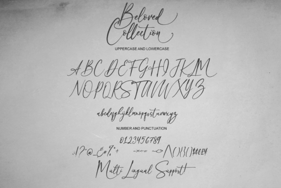 Beloved Collection Font Poster 6