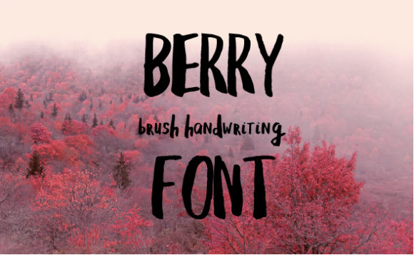 Berry Font Poster 1