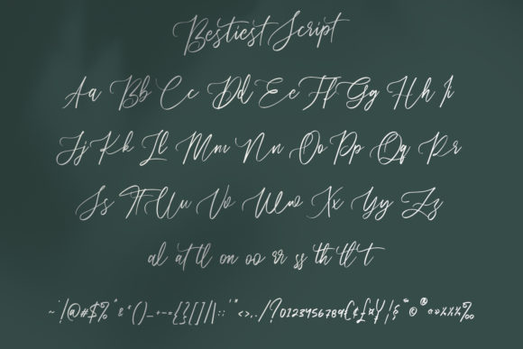 Bestiest Script Font Poster 6