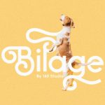 Bilage Font Poster 1