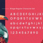 Bilage Font Poster 6