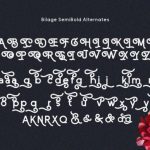 Bilage Font Poster 8