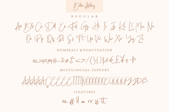 Billie Ashley Font Poster 11