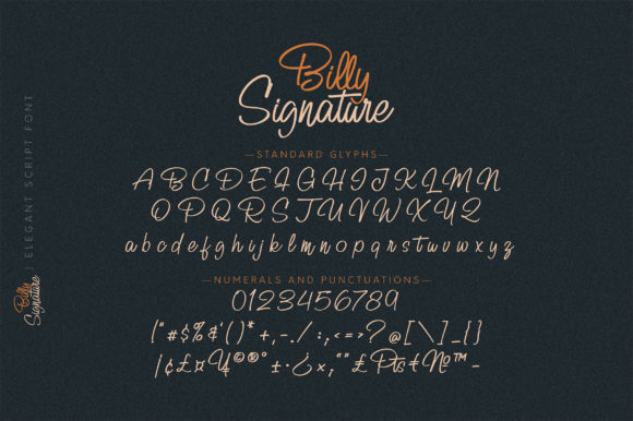 Billy Signature Font Poster 11