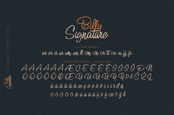 Billy Signature Font Poster 12