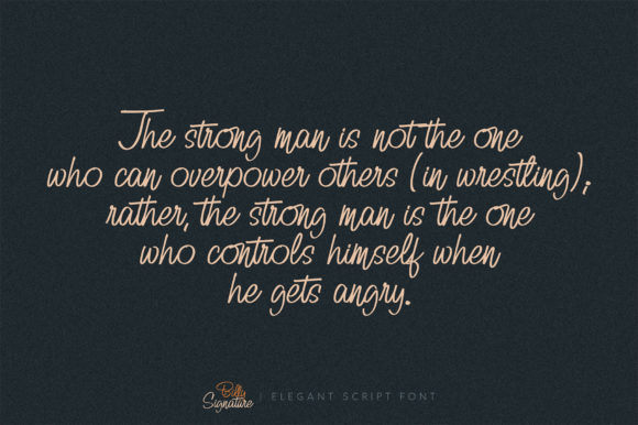 Billy Signature Font Poster 9