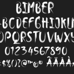 Bimber Brush Font Poster 5