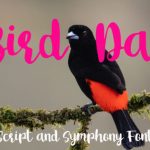Bird Day Font Poster 1
