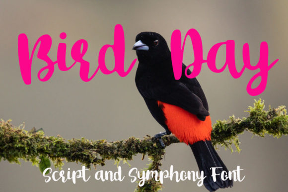 Bird Day Font