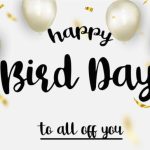 Bird Day Font Poster 3