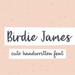 Birdie James Font Poster 1