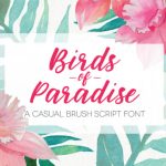 Birds of Paradies Font Poster 1