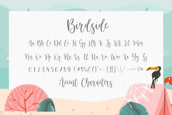 Birdside Font Poster 6