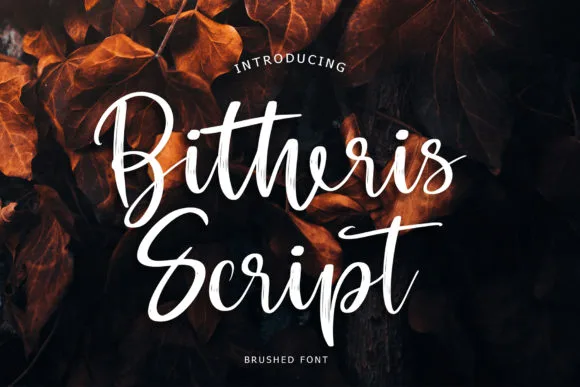 Bitheris Font Bitheris Font Poster 1