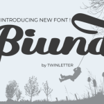 Biund Font Poster 1