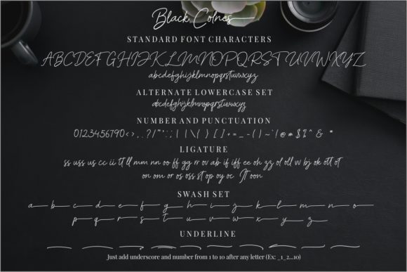 Black Colnes Font Poster 10