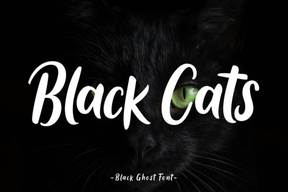 Black Ghost Font Poster 9