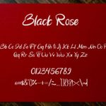 Black Rose Font Poster 5