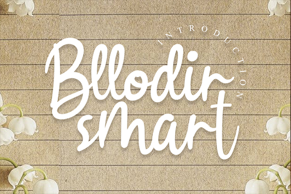 Bllodir Smart Font
