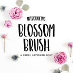 Blossom Brush Font Poster 1