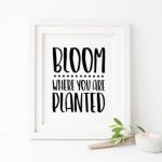 Blossom Brush Font Poster 2