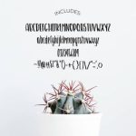 Blossom Brush Font Poster 3