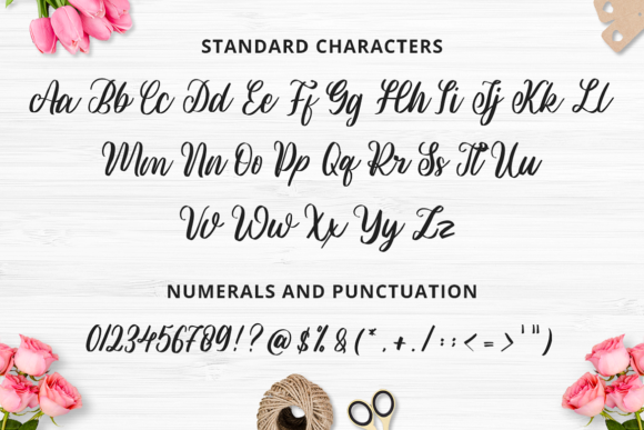 Blossoms Font Poster 2