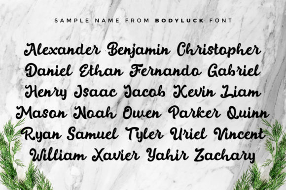 Bodyluck Font Poster 7