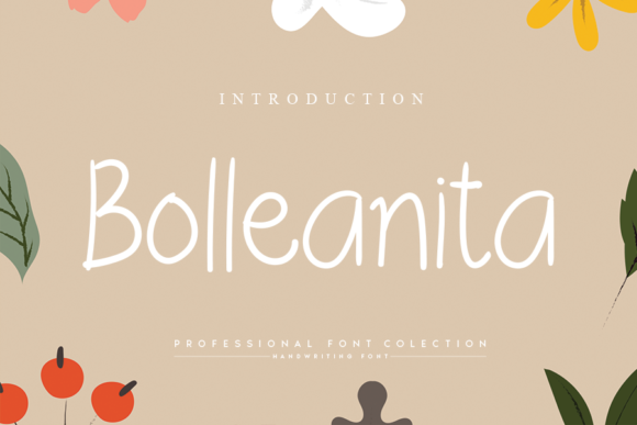 Bolleanita Font Poster 1