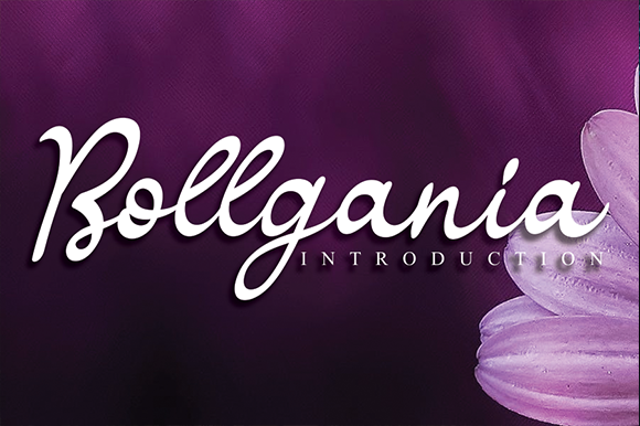 Bollgania Font Poster 1