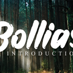 Bollias Font Poster 1