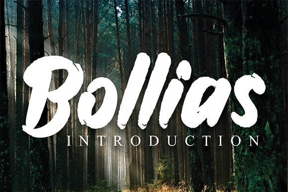 Bollias Font Poster 1