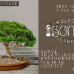 Bonsai Plants Font Poster 2