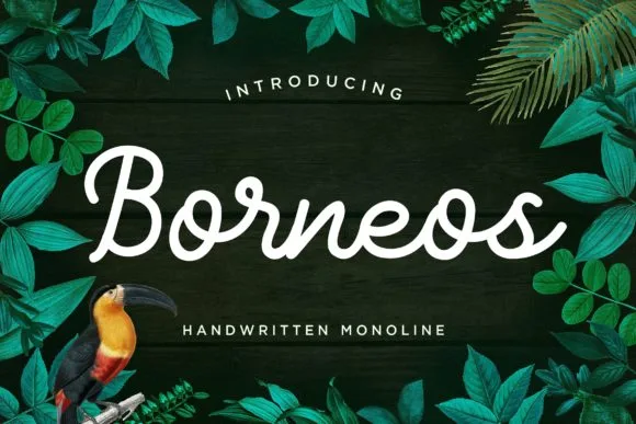Borneos Font Borneos Font Poster 1
