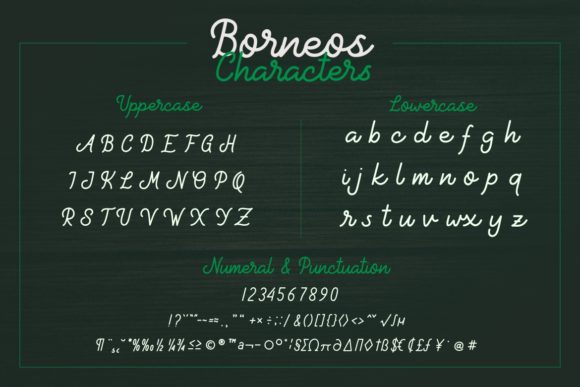 Borneos Font Poster 5