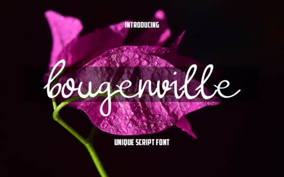 Bougenville Font Poster 1