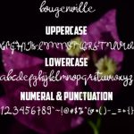 Bougenville Font Poster 5