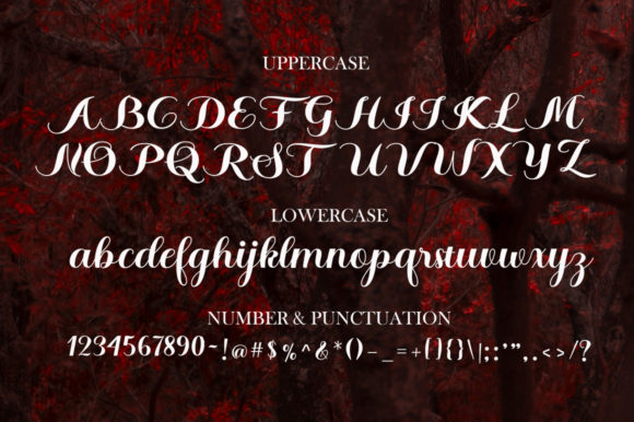 Braylen Font Poster 12