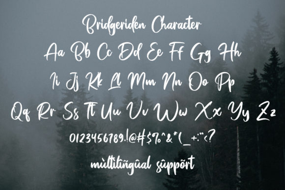 Bridgeriden Font Poster 6