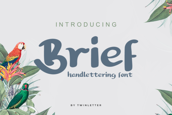 Brief Font