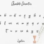 Brisotta Font Poster 9