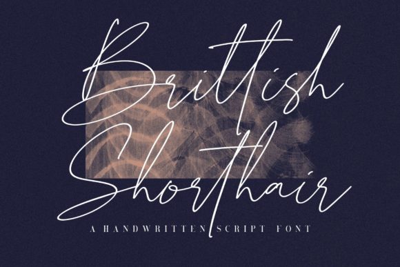 Brittish Shorthair Font Poster 1