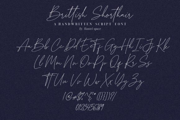 Brittish Shorthair Font Poster 11