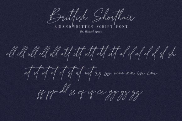 Brittish Shorthair Font Poster 12