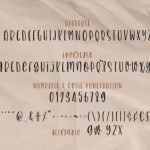 Brownie Cookie Font Poster 8