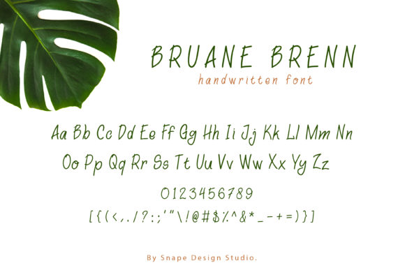 Bruane Brenn Font Poster 2