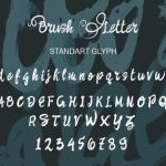 Brush Letter Font Poster 5