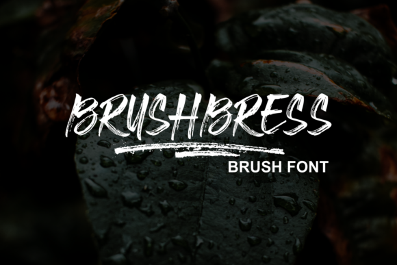 Brushbress Font