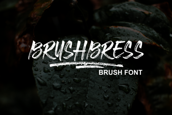 Brushbress Font Poster 1