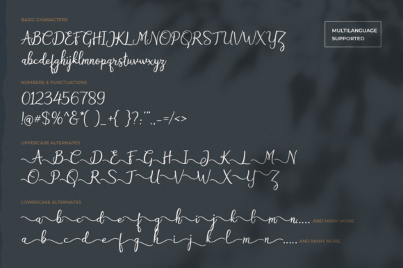 Bryan Letter Font Poster 10